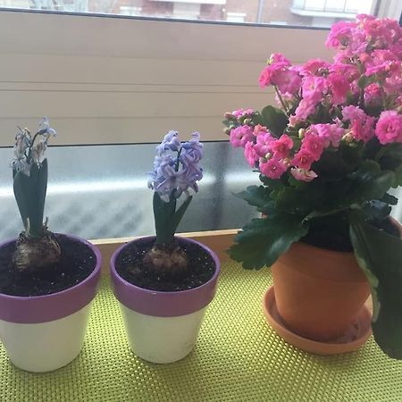 马德里Apartamento Ciudad Lineal Reciente Reforma公寓 外观 照片